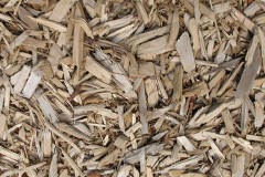 biomass boilers Linicro