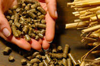 free Linicro biomass boiler quotes